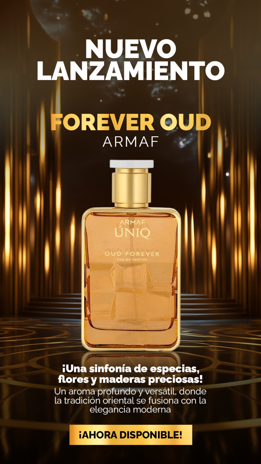 Nuevo lanzamiento 10